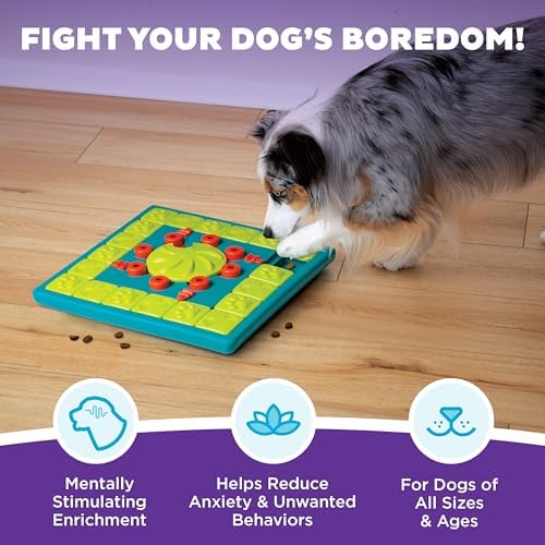 Outward Hound Nina Ottosson MultiPuzzle Dog Toy Treat Puzzle - Image 2