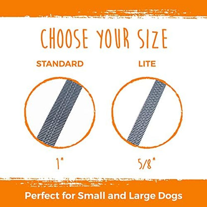 Mighty Paw Double Dog Leash - Image 2