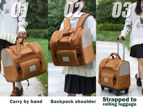 Cat Backpack Expandable, Cat Carrier - Image 5
