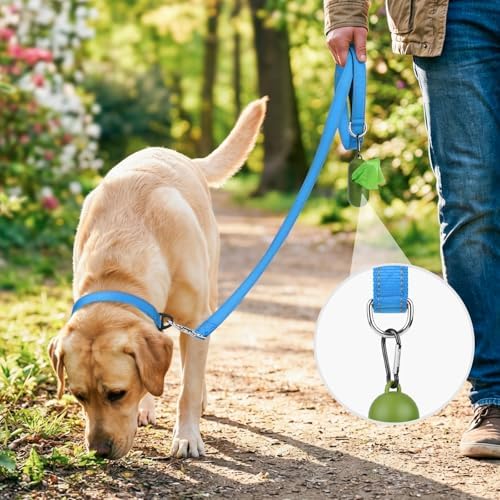 Joytale Reflective Dog Leash for Medium & Large Dogs, 4 FT x 1", Sky Blue - Image 2