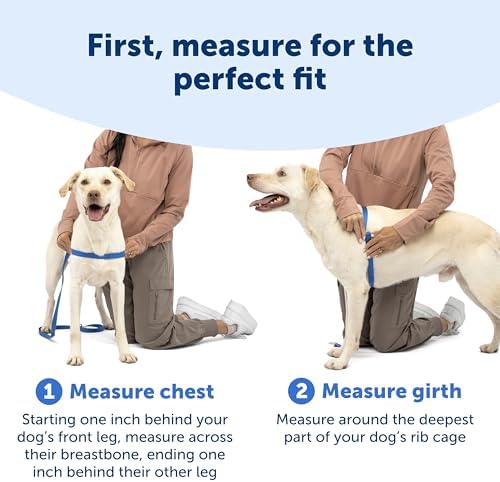 PetSafe Easy Walk Harness, No Pull Dog Harness - Image 5