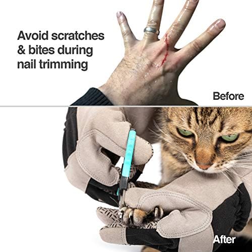 PetFusion Multipurpose Pet Glove - Image 3