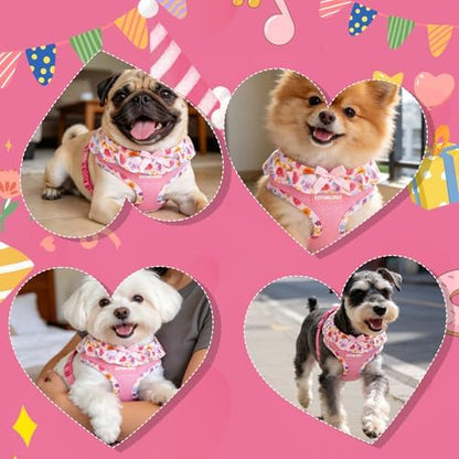 EXPAWLORER Step-in Dog Harness Small Sized and Leash Set - Image 6