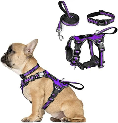 WINSEE Pet Harness Collar and Leash Set, All-in-one Reflective Dog Harness No by WINSEE