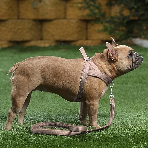 Plutus Pet No Pull Dog Harness for Medium Sized Dog, Breathable Mesh Padded - Image 5