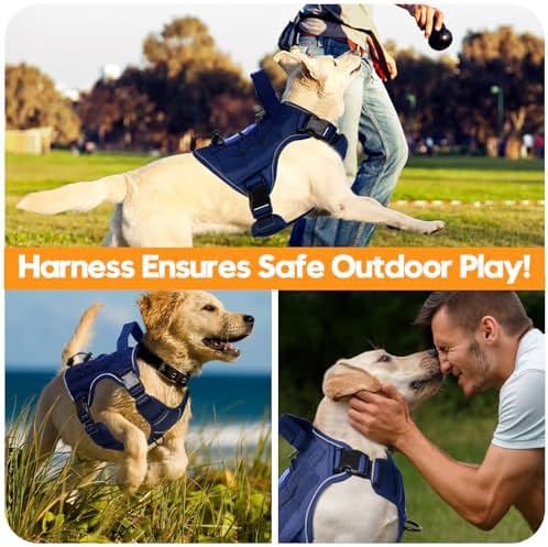 Heavy-Duty Tactical Dog Harness - Image 6