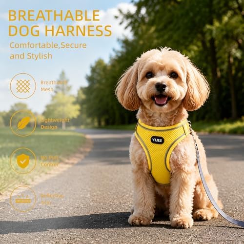 ROYPET Step-in Air Dog Harness, All Weather Mesh Step in Vest Harness - Image 3