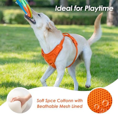 Sunraymascota No Pull Dog Harness - Image 6