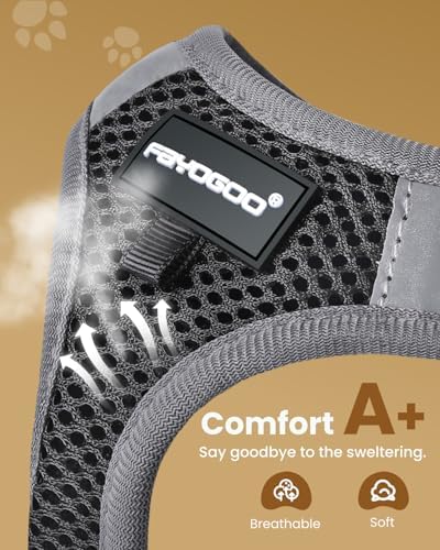FAYOGOO Cat Harness and Leash Set | Upgrade Step-in Escape Proof Harness | - Image 2