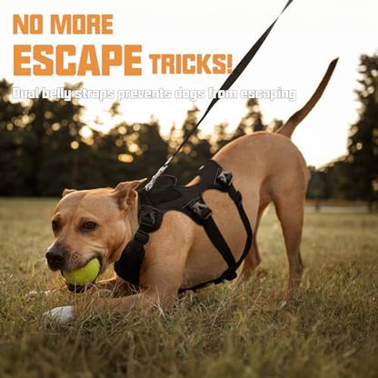 AUROTH Escape Proof Dog Harness - Image 3