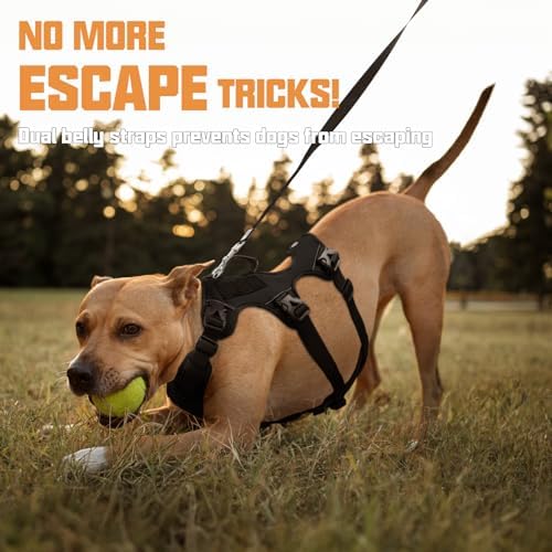 AUROTH Escape Proof Dog Harness - Image 3