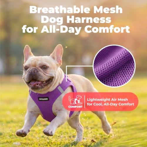 Voyager Step-in Air Dog Vest Harness - Image 5