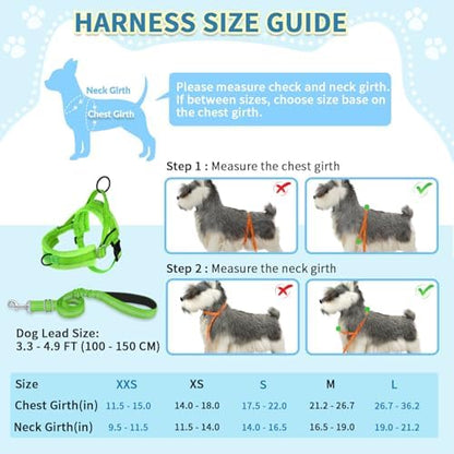 SlowTon No Pull Small Dog Harness and Leash Set - Image 5