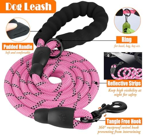 LOBEVE No Pull Dog Harness, Collar & Leash Set - Image 5