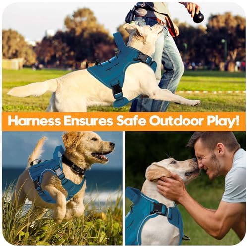 Heavy-Duty Tactical Dog Harness - Image 6