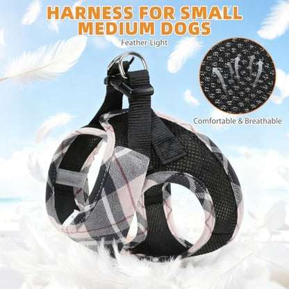 KOOLTAIL Dog Harness and Leash Set, Cute Dog Harness Medium Sized Dog, Step in - Image 3