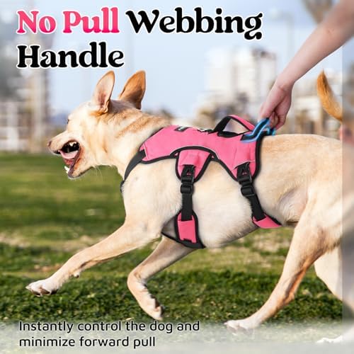 rabbitgoo Escape Proof Dog Harness - Image 4