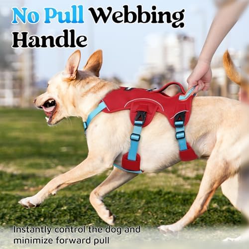 rabbitgoo Escape Proof Dog Harness - Image 4