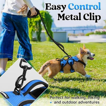 rabbitgoo Escape Proof Dog Harness - Image 5
