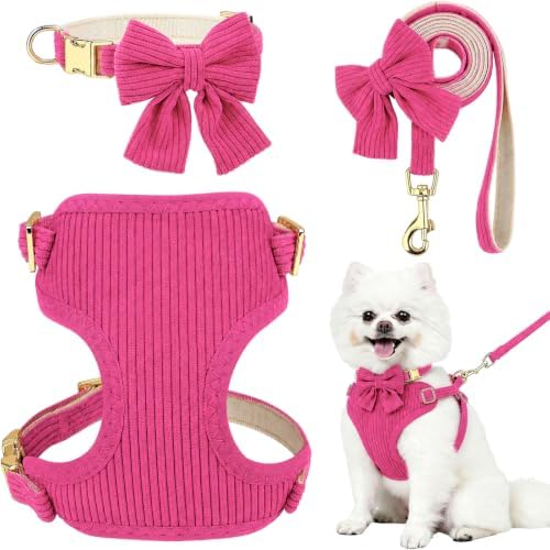 Small Dog Collar Harness and Leash Set by Unknown