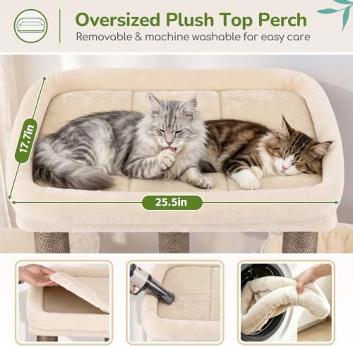Globlazer Heavy Duty Cat Tree for Large Cats, 25.5in Wide Top Perch - Image 3