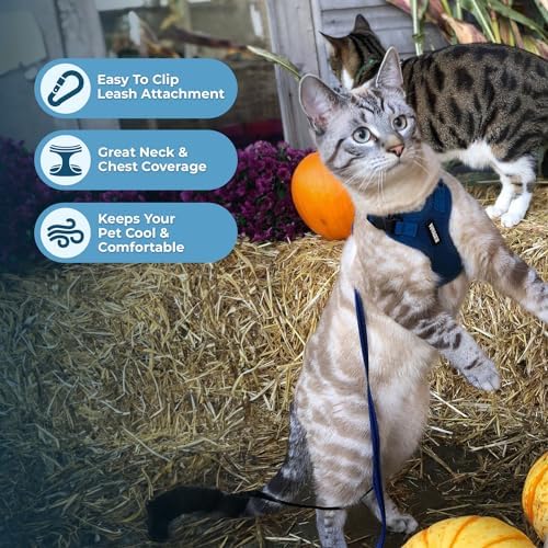 Voyager Step-in Lock Cat Harness & Leash Set - Image 5