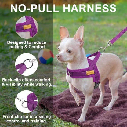 BEAUTYZOO Small Dog Harness and Leash Set, No Pull Step in Puppy Vest - Image 6