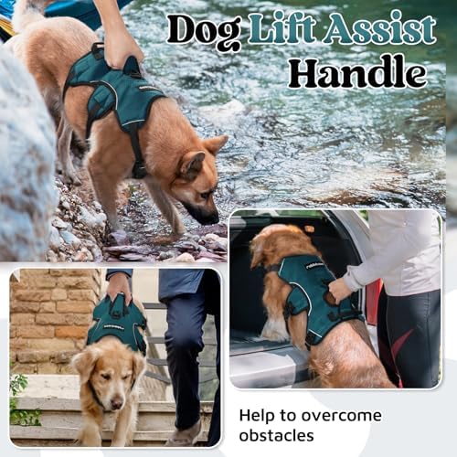 rabbitgoo Escape Proof Dog Harness - Image 4