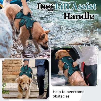 rabbitgoo Escape Proof Dog Harness - Image 4