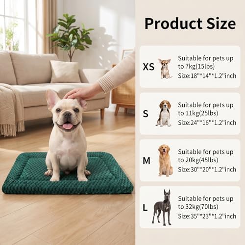 Cat Bed Mat - Durable & Cute Crate Beds - Image 4