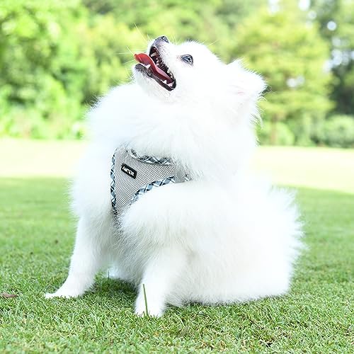AMTOR Small Dog Harness with Leash Set, No Escape Easy Walk Puppy Harnesses - Image 5