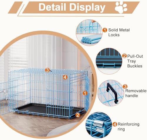 FDW | 42" Foldable Metal Dog Crate | Blue | Cage - Image 3
