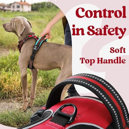 rabbitgoo Dog Harness for Large, Updated Easy On & Off - Image 4