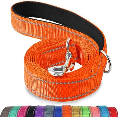 Joytale Reflective Dog Leash for Medium & Large Dogs, 6 FT x 1" by Joytale