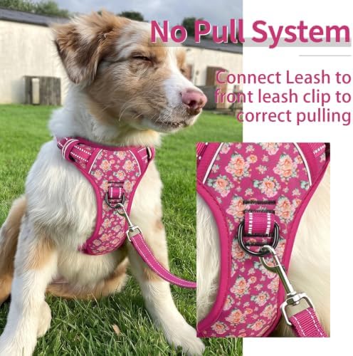 HEELE Dog Harness, Reflective, No Pull No Choke, Flower Rose - Image 5