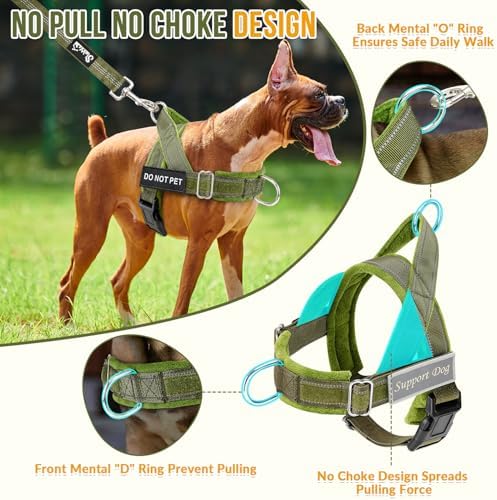 SlowTon No Pull Dog Harness and Leash Set - Image 2