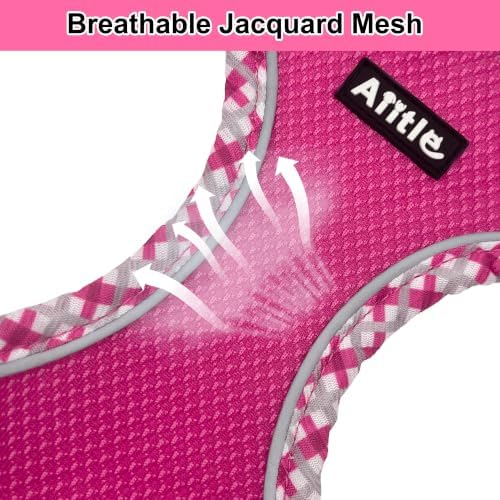 AIITLE Breathable Dog Harness Small Sized and Leash Set - Image 4