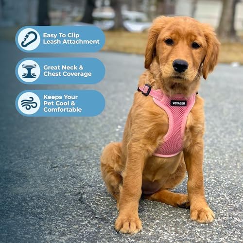 Voyager Step-in Flex Adjustable Dog Harness - Image 5