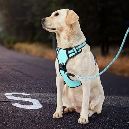 IVY&LANE No Pull Dog Harness for Small Dogs, Reflective Dog Vest Harness - Image 7