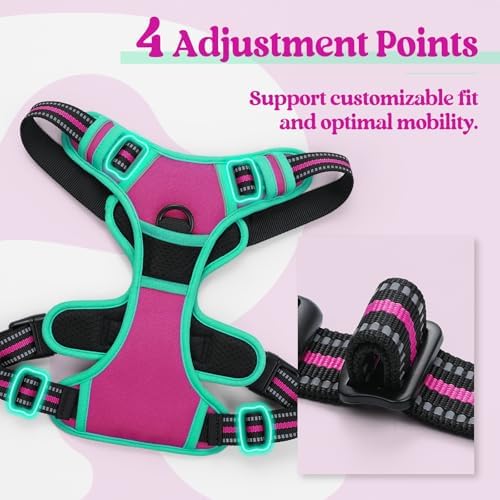 rabbitgoo Dog Harness, No Pull Medium Sized - Image 4