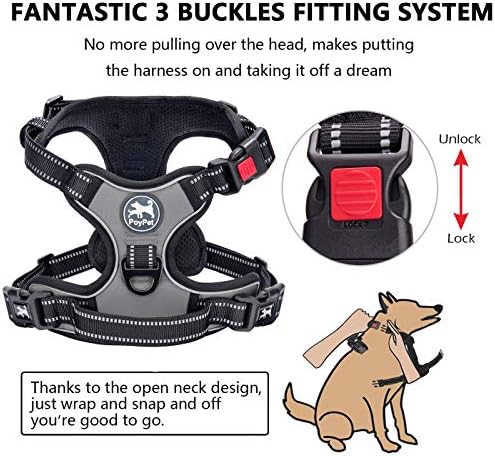 PoyPet No Pull Dog Harness Large - Image 2