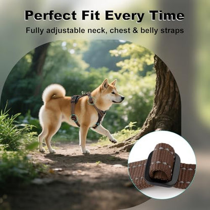Plutus Pet No Pull Dog Harness - Image 5