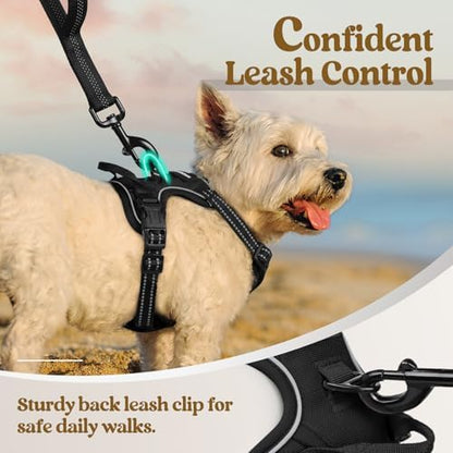 rabbitgoo Dog Harness, No Pull for Small Dogs - Image 6