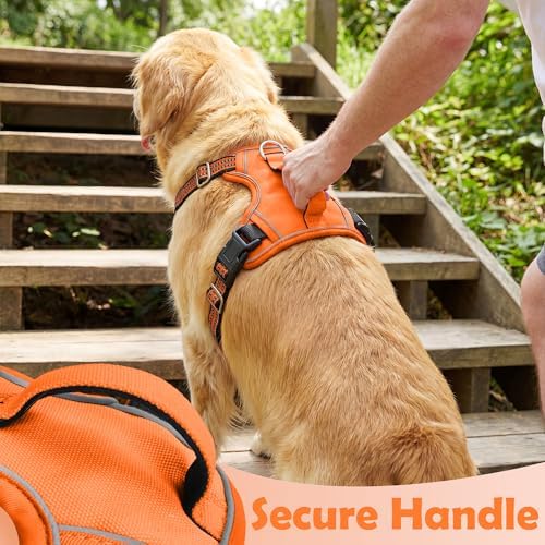Funfox Dog Harness No Pull, Adjustable Pet Vest Harness, Super Soft Material - Image 5