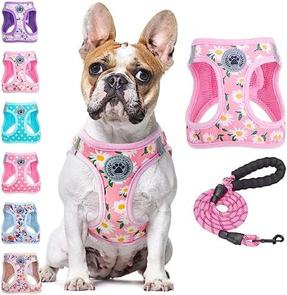 BEAUTYZOO Dog Harness Medium Sized and Leash Set, No Pull Pet Vest -Floral by BEAUTYZOO