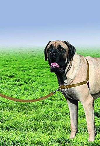 PetSafe Easy Walk No-Pull Dog Harness - Image 2