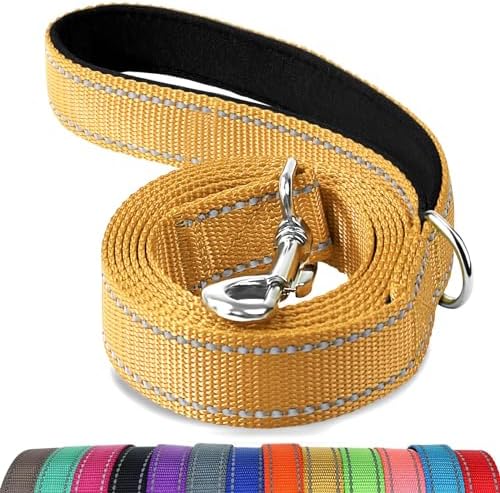 Joytale Reflective Dog Leash for Small Dogs, 5 FT x 3/4" by Joytale