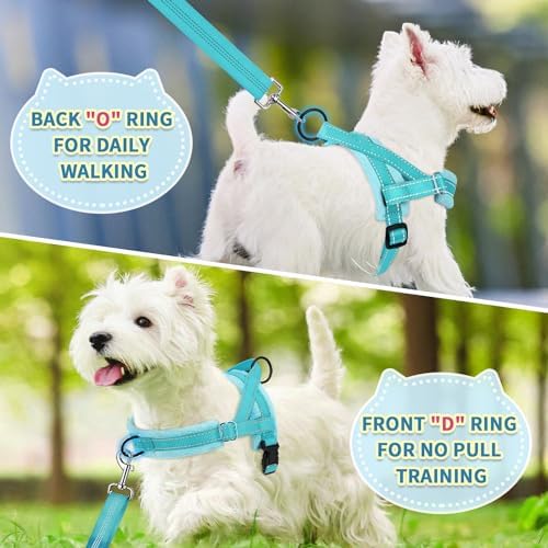 SlowTon No Pull Small Dog Harness and Leash Set - Image 4