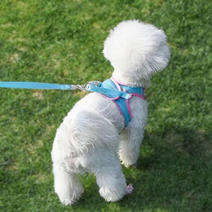 Puppy Harness for Small Dogs - Image 6