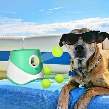 10 Pack 2-inch Dog Tennis Toys, Pet Play Balls, Refill - Image 7